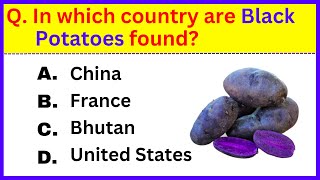 Only 1% Can Score 30/30 on This General Knowledge Quiz!