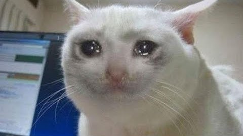 Self curse temporal chains builds be like:Harvest Poe 3.11