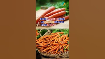CÀ RỐT VÀ CỦ CẢI CÓ KỴ NHAU KHÔNG?|Dr Hiệp