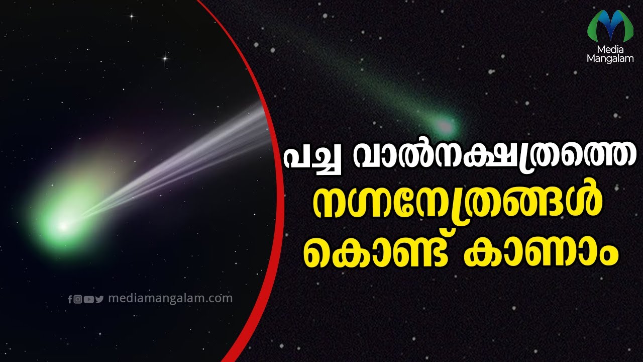 മനുഷ്യായുസിൽ ഒരിക്കൽ മാത്രം കാണാനാകുന്ന അത്യപൂർവ്വകാഴ്ച | Green comet ...