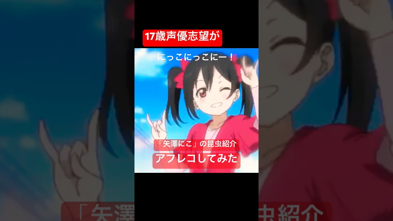 にこにこにー 元ネタ Card: [にっこにっこにー] 矢澤にこ ラブライブ