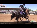 Carreras de Caballos en Phoenix, Arizona 12 de Mayo 2018