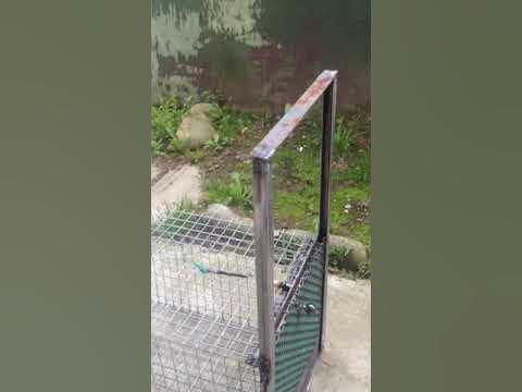 Живоловка на тхора - YouTube