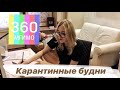 Карантинные будни студентов МГИМО