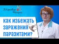 Профилактика и лечение паразитов | Иммунолог Гордиенко |