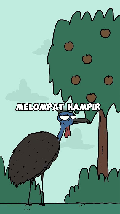 Kasuari | Burung Paling Berbahaya di Dunia