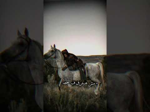 قلبي اتقسم نصين