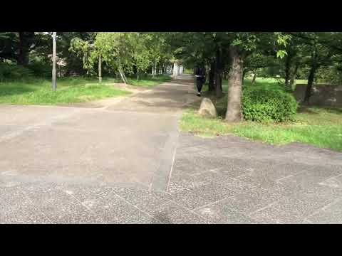 蝉時雨（グレープ）を歌ってみました。