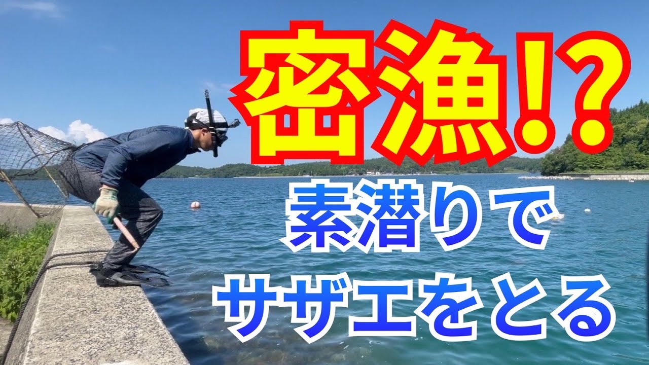 【密漁!?】素潜りでサザエをとるのは犯罪になるの? - YouTube
