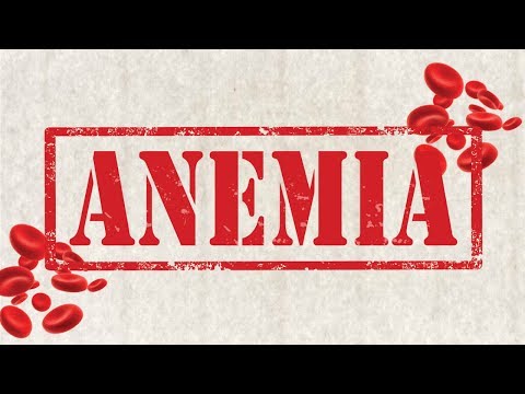 Video: Anemia - Kuda - Tanda-tanda Anemia