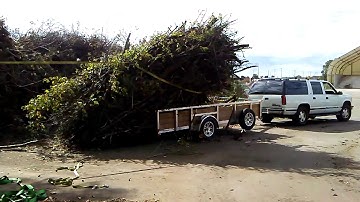 How to unload a trailer full of branches in 9 seconds.