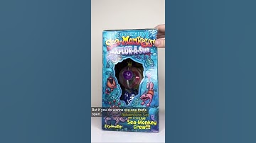 Am I setting up the RARE Sea Monkeys Explor-A-Tank?!