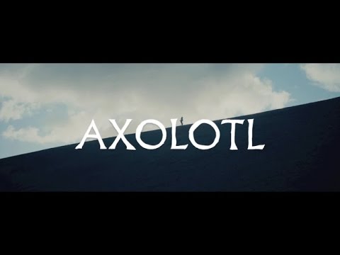 The Veils -"Axolotl" (ft. El-P) (Official Music Video) | Pitchfork