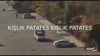 Kışlık Patates