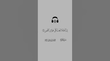 إِنَّ ٱللَّهَ يُدَٰفِعُ عَنِ ٱلَّذِينَ ءَامَنُوٓاْۗ|القارئ عبدالصاحب #تلاوة_خاشعة #قران_كريم