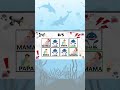 Say the Word on Beat Like a Pro🦈 | Baby Shark Challenge 🦈 Hard Level 3