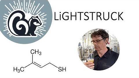 🦨 Skunky Beer: Understanding, Preventing, & Controlling Lightstruck Flavor (Beer Sensory Evaluation)