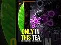 The Molecule That Kills Cancer Cells (But Only Exists in ONE Tea)