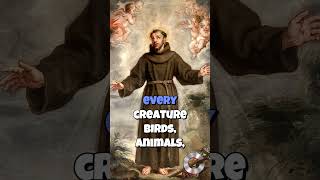 Who Was St. Francis of Assisi? video Image of Who Was St. Francis of Assisi? video