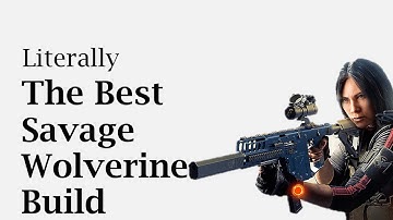 Literally the best Savage Wolverine build - Part 3 - Division 2