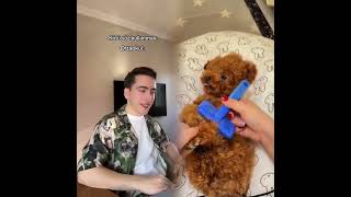 🤣👌👌👌2025 pov Must-Watch Crazy Clips Compilation #humor #fypシ #pov #fyp #foryou 😍😜