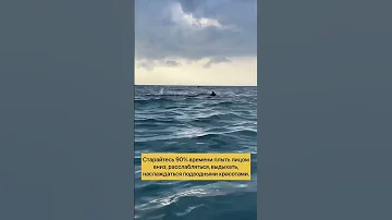 Кролем в море плавать неудобно?