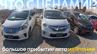 БОЛЬШОЕ ПРИБЫТИЕ АВТО ИЗ ЯПОНИИ🔥СТОЯНКИ БИТКОМ😱ЦЕНА ОТ 800 ТЫСЯЧ РУБЛЕЙ⁉️FREED STEPWGN FORD MAZDA