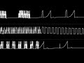 n1k-o - "Across the Edge (ZXS 128k)" [Oscilloscope View]