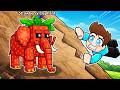 CLIMB THE HIGGEST MOUNTAINS FOR BRAINROT IN ROBLOX !!