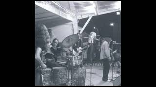 Lynyrd Skynyrd - Poison Whiskey (1973) Heavy Rock track from U.S.