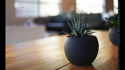 Ocultar las etiquetas de los campos en Gravity Forms