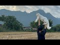 Кофемашина бьется током, сбор риса в деревне и саженцы клубники из России приехали в Лаос 🇱🇦