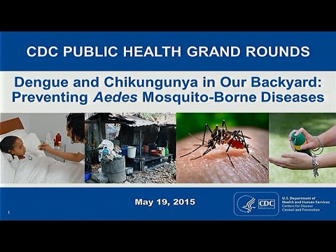Видео: CDC Nowcasting разпространението на Chikungunya в Америка