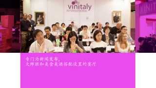 意大利联合葡萄酒展 国际 2014年 - 2015年
