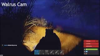 5 Second Rust 3v3