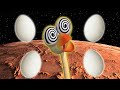 Gazoon | Ostrich&#39;s Egg Adventure | Funny Animal Cartoons for Kids by HooplaKidz Tv
