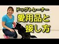 【犬 ドッグトレーナー】ドッグトレーナー愛用品と接し方【犬のしつけ＠横浜】by遠藤エマ先生