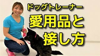 【犬 ドッグトレーナー】ドッグトレーナー愛用品と接し方【犬のしつけ＠横浜】by遠藤エマ先生