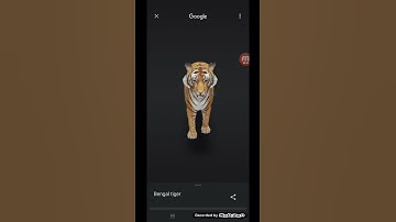 One of the Best Google Trick 3D Tiger#shorts