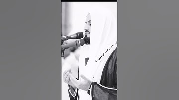#شيخ_رعد_محمد_الكردي حالات واتس اب دينيه #القرآن_الكريم #تلاوات_قرآنيه #رعد_الكردي 🌺😌❤️