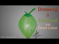 DRAWING a GREEN COCONUT with PENCIL COLOUR. ডাব আঁকা।