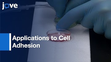 Capturing Real-Time Images- 2 Emission Channels: Dual Camera Emission Splitting l Protocol Preview