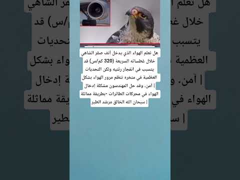 هل تعلم الهواء الذي يدخل أنف صقر الشاهين خلال غطساته السريعة 320 كم س قد يتسبب في انفجار رئتيه