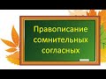 Русский язык. Правописание сомнительных согласных. Видеоурок