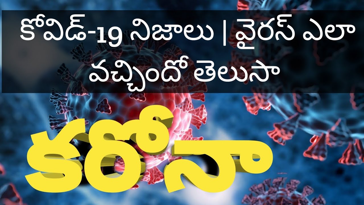 కోవిడ్-19 నిజాలు || వైరస్ ఎలా మొదలైందో తెలుసా? " Corona Virus Behind Story ||Civid-19 " 2019-2025||