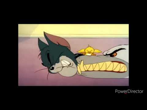 Tom Screaming Earrape 3 Minutes