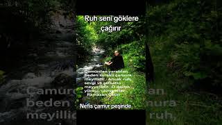 Aşk Ve Sevgi Ğitim Şam Şfet