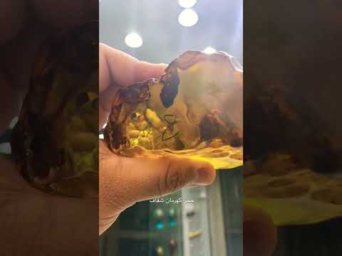 حجر كهرمان شفاف صافي من أجمل الخامات التفاصيل على الإنستقرام   