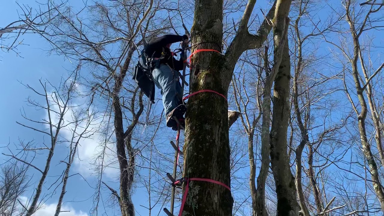 How to set a hang on stand for a hang and hunt! YouTube