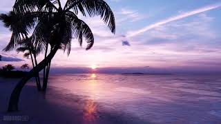 Bülent Ersoy İtirazım Var